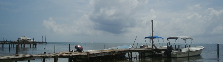 header-01